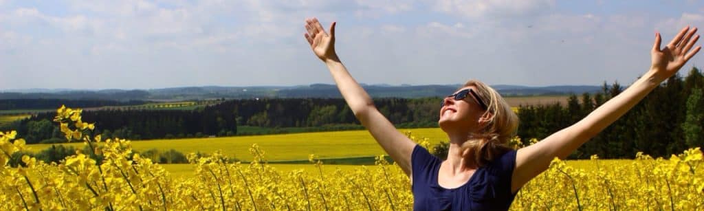 field of rapeseed yellow crops financial independence