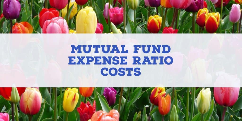 mutual fund expense ratio costs