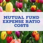 mutual fund expense ratio costs