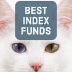 best index funds kitten heterochromia