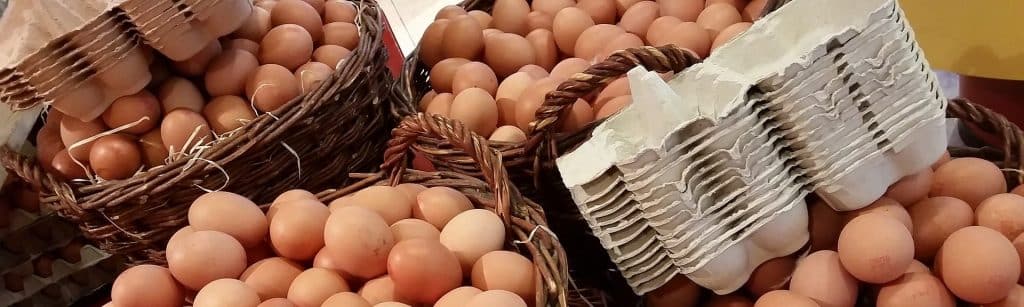 eggs in a basket