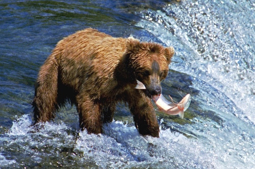 6 Stock Investing Tips