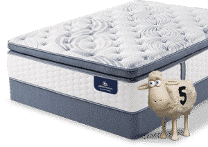 serta perfect sleeper sheep mattress