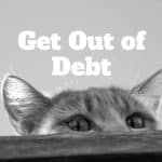 get out of debt by spying