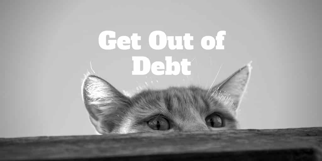 get out of debt by spying