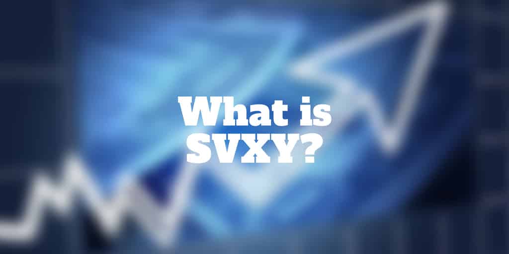 what is svxy