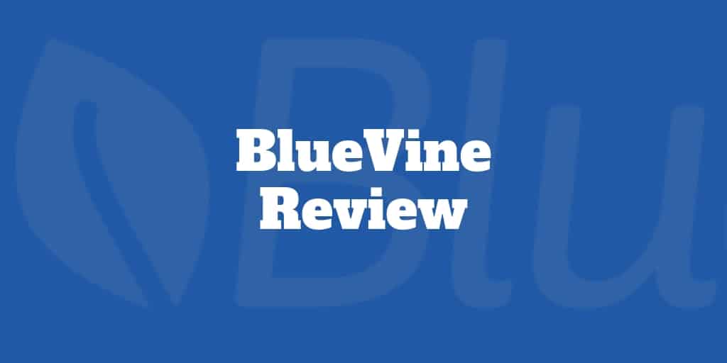 bluevine review