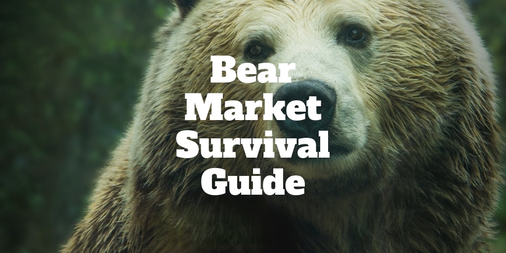 bear market survival guide