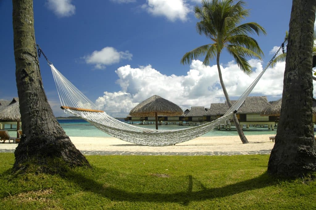 hammock polynesia