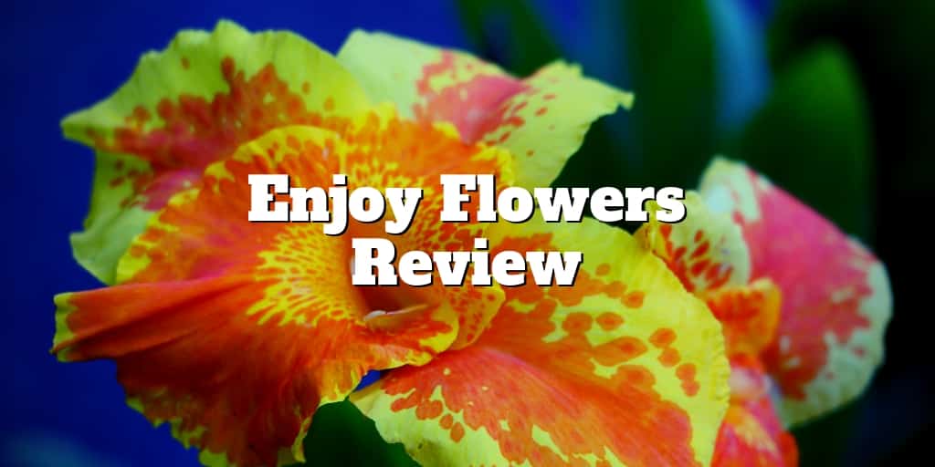 enjoy flowers review