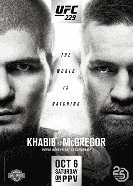 UFC 229 poster