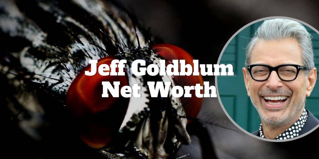 jeff goldblum net worth