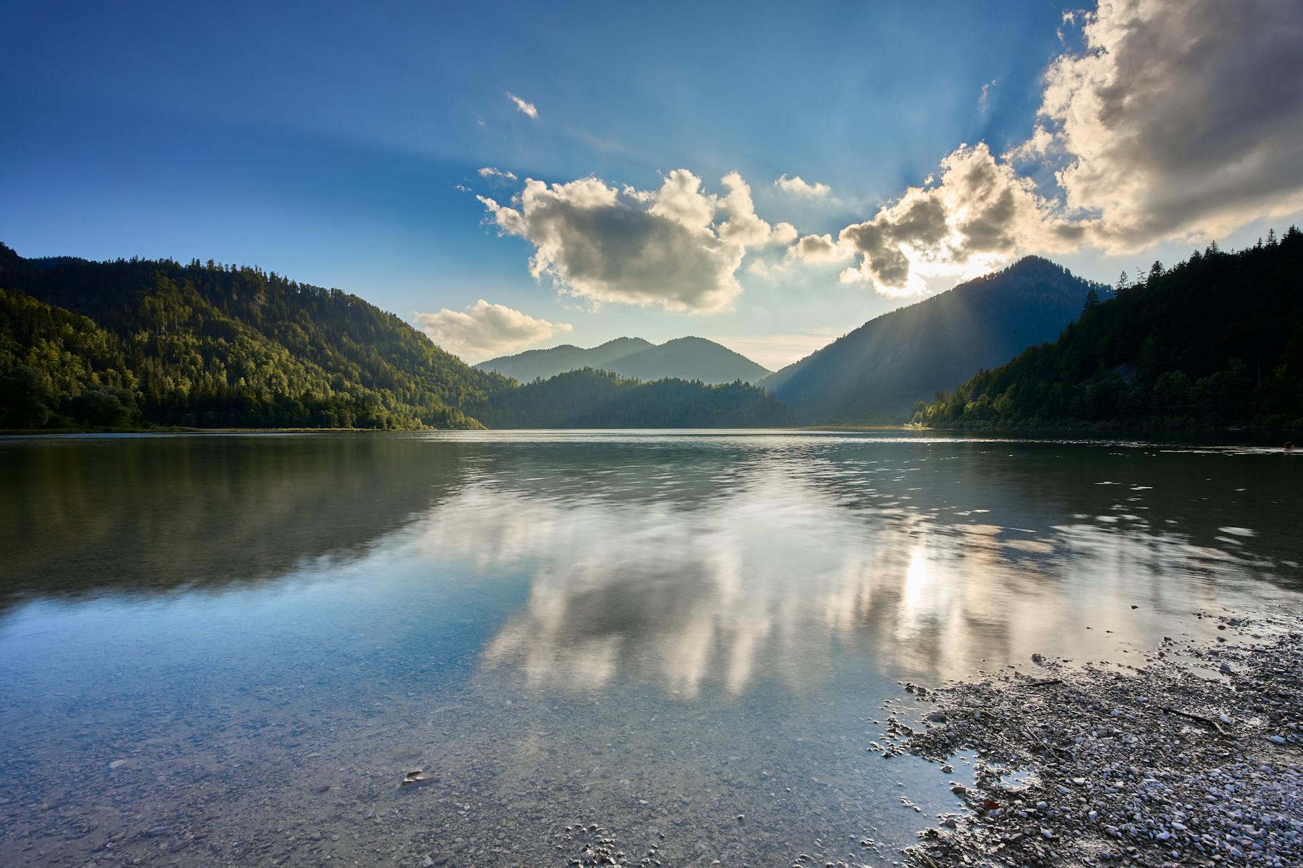 REITs for Beginners: Passive Real Estate Investing Guide