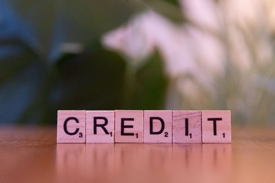 Build Your Credit Score From Scratch: 12-Month Plan