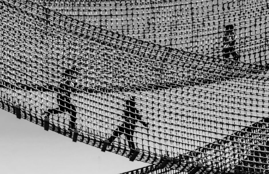 Build a Financial Safety Net: Insurance, Savings & Debt